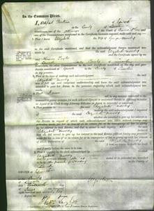 Court of Common Pleas - Elizabeth Moody-Original Ancestry