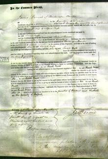 Court of Common Pleas - Sarah Moss-Original Ancestry