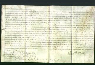 Court of Common Pleas - Sarah Ann Wells-Original Ancestry