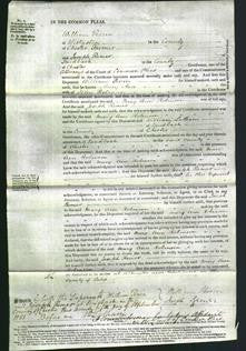 Court of Common Pleas - Mary Ann Robinson-Original Ancestry