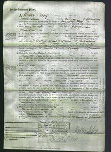 Court of Common Pleas - Harriette Newman-Original Ancestry