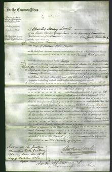 Court of Common Pleas - Fanny Baker-Original Ancestry