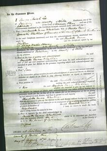Court of Common Pleas - Charlotte Emma Whatman-Original Ancestry