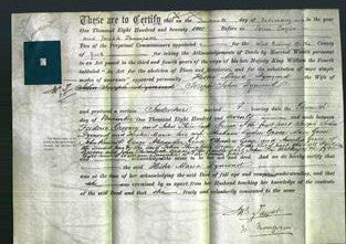 Court of Common Pleas - Hester Maria Dymond-Original Ancestry