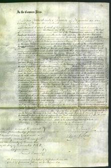 Court of Common Pleas - Elizabeth Gill, Elizabeth Haldance, Henrietta Smerdon and Naomi Tucker-Original Ancestry