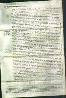 Court of Common Pleas - Mary Ann Smith, Lucy Allen, Susannah Flanders-Original Ancestry