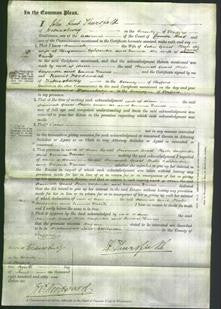 Court of Common Pleas - Hannah Guest, Phebe Carpenter and Emma Davies-Original Ancestry