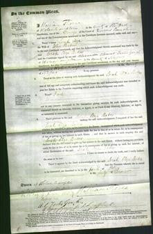 Court of Common Pleas - Sarah Eliza Baker-Original Ancestry