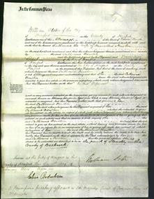 Court of Common Pleas - Catherine Newton-Original Ancestry