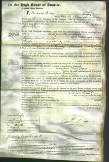 Court of Common Pleas - Jane Harris Glynn-Original Ancestry