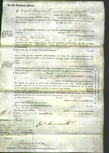 Court of Common Pleas - Elizabeth Coulson Magson Kirby-Original Ancestry