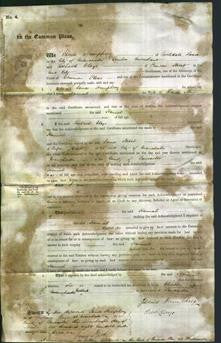 Court of Common Pleas - Hannah Stone-Original Ancestry