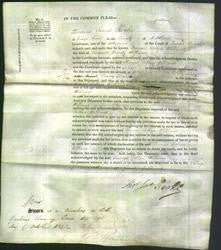 Court of Common Pleas - Dobbyn Williams-Original Ancestry