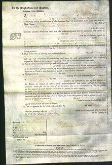 Court of Common Pleas - Mary Ann Willion-Original Ancestry