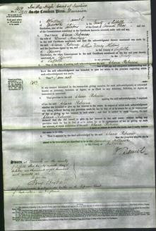 Court of Common Pleas - Clara Rebecca Mayhew-Original Ancestry