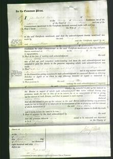 Court of Common Pleas - Mary Eddles-Original Ancestry