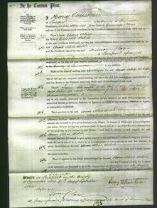 Court of Common Pleas - Alice Welch-Original Ancestry