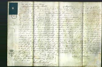 Court of Common Pleas - Harriot Elizabeth Reeve-Original Ancestry