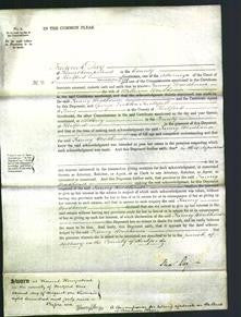 Court of Common Pleas - Fanny Woodhouse-Original Ancestry