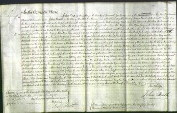 Court of Common Pleas - Eliza Dowling and Mary Ann Gray-Original Ancestry