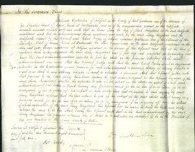 Court of Common Pleas - Mary Kingsland-Original Ancestry