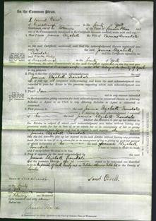 Court of Common Pleas - Joanna Elizabeth Trousdale-Original Ancestry