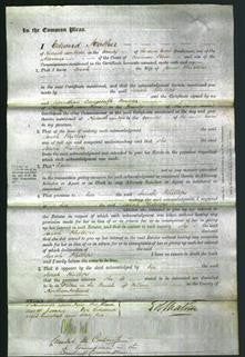 Court of Common Pleas - Sarah Phillips-Original Ancestry