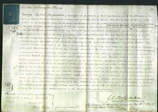 Court of Common Pleas - Martha Jackson-Original Ancestry