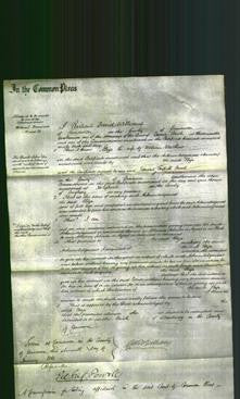 Court of Common Pleas - Eliza Walthew-Original Ancestry