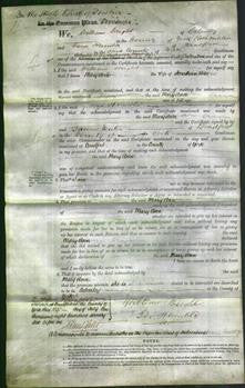 Court of Common Pleas - Mary Ann Ross-Original Ancestry