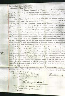 Court of Common Pleas - Elizabeth Rees-Original Ancestry