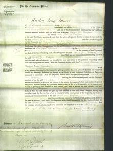 Court of Common Pleas - Sarah Jane Hodgson