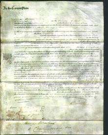 Court of Common Pleas - Elizabeth Skerling-Original Ancestry