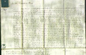 Court of Common Pleas - Ann Underhill and Mary Bekenn-Original Ancestry