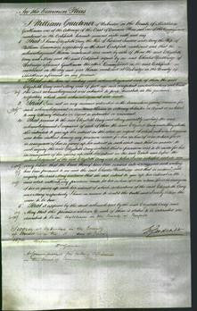 Court of Common Pleas - Elizabeth Amy Sanders and Mary Cummings-Original Ancestry