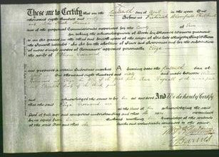 Deed by Married Women - Eliza Greenwood-Original Ancestry