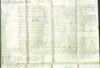 Court of Common Pleas - Hannah Swinburne-Original Ancestry