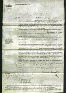 Court of Common Pleas - Sury Timoud-Original Ancestry