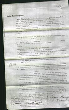 Court of Common Pleas - Mary Banks-Original Ancestry