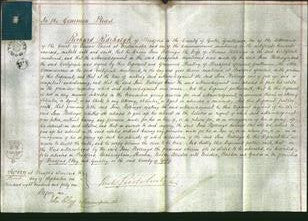 Court of Common Pleas - Jane Hollings-Original Ancestry