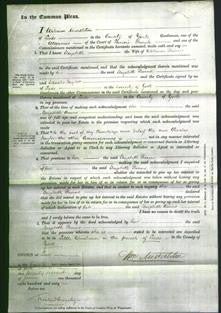 Court of Common Pleas - Elizabeth Binns-Original Ancestry