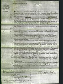 Court of Common Pleas - Mary Straw, Ann Taylor and Sarah Wrigley-Original Ancestry