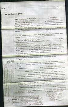 Court of Common Pleas - Eliza Ann Warrener-Original Ancestry