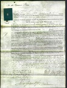 Court of Common Pleas - Ann Rowes-Original Ancestry