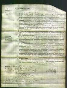 Court of Common Pleas - Anna Caroline Morton Alexander-Original Ancestry