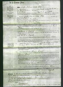 Court of Common Pleas - Maria Elmer-Original Ancestry