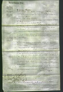 Court of Common Pleas - Maria Costerton-Original Ancestry