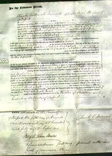 Court of Common Pleas - Ann Moss and Sarah Moss-Original Ancestry