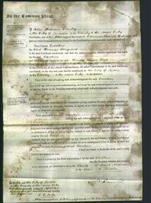 Court of Common Pleas - Caroline Sargeant-Original Ancestry