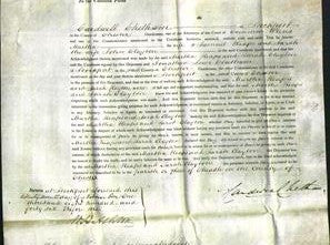 Court of Common Pleas - Martha Heaps and Sarah Clayton-Original Ancestry